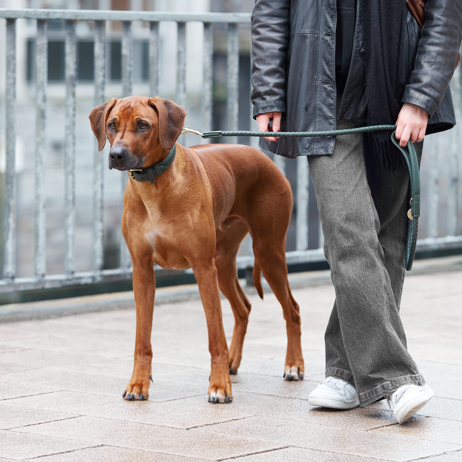 Produktbild 12